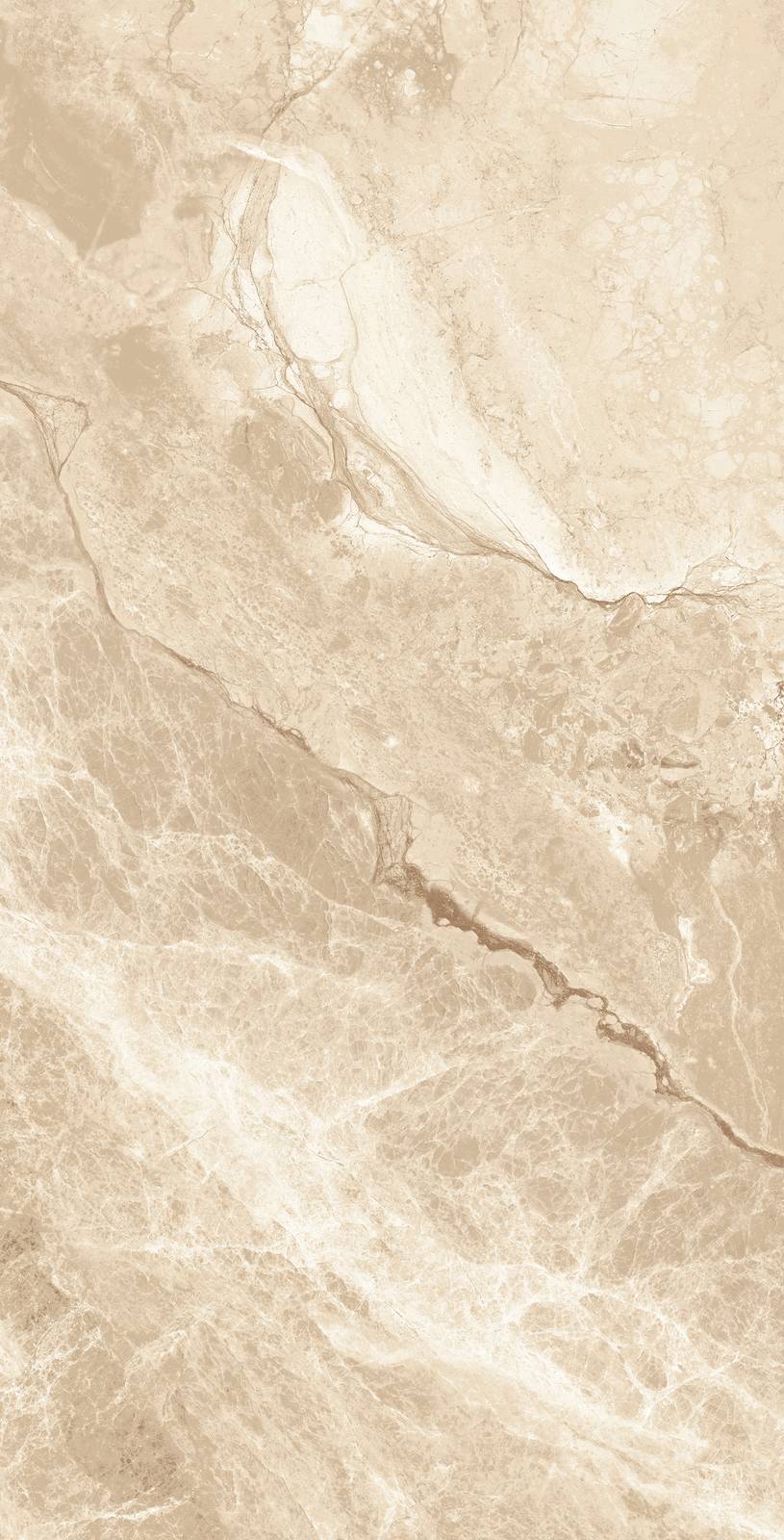 PLATINUM 30X60 TABITHA BROWN REC
